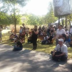 FB_IMG_1520985122669